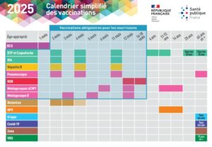 calendrier vaccinal 2025